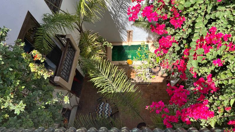 Riad Dar Zaman - Genel