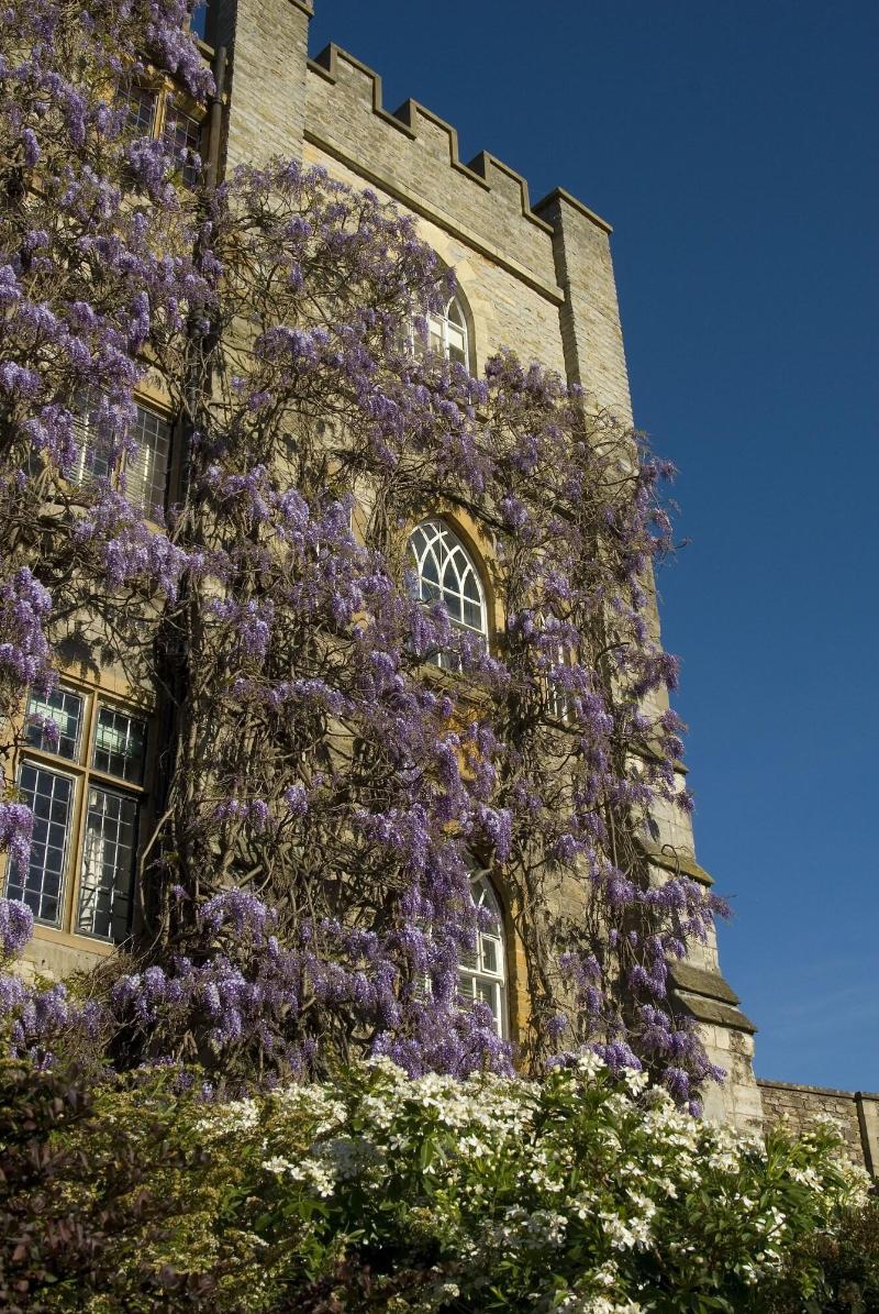 The Castle at Taunton - Genel