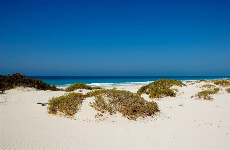 St. Regis Saadiyat Island Abu Dhabi - Genel