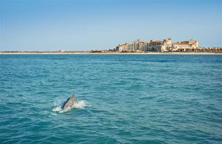 St. Regis Saadiyat Island Abu Dhabi fotoÄŸrafÄ±