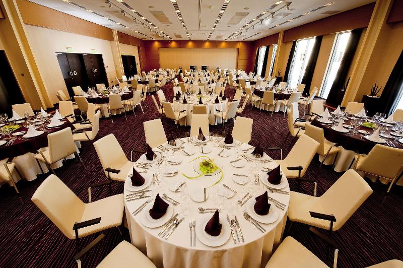Abacus Business & Wellness Hotel - Toplantı