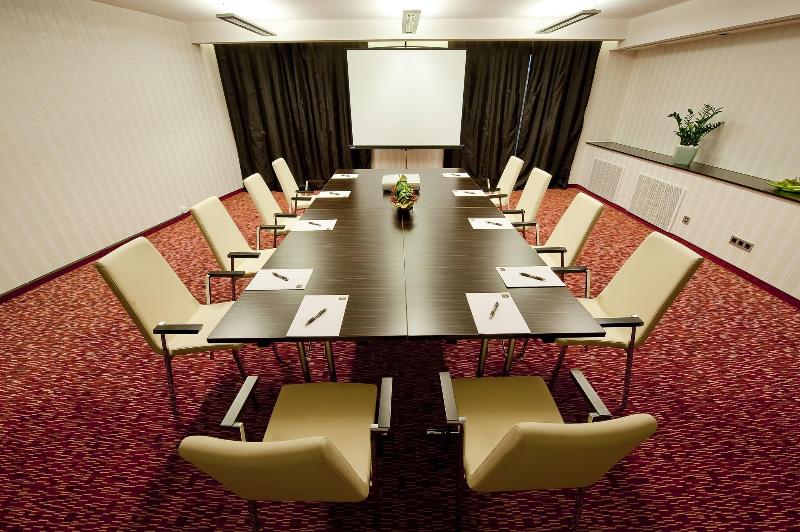Abacus Business & Wellness Hotel - Toplantı