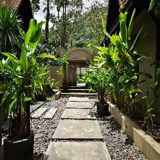 Montra Samui fotoÄŸrafÄ±