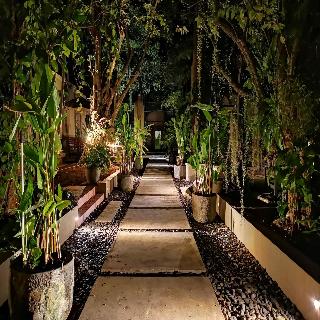 Montra Samui fotoÄŸrafÄ±