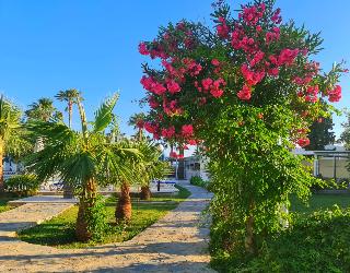Nagi Beach Hotel fotoÄŸrafÄ±
