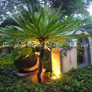 Bangtao Beach Chalet Phuket fotoÄŸrafÄ±