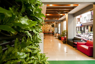 Pj Patong Resortel fotoÄŸrafÄ±