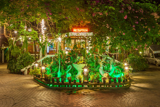 Tropica Bungalow Hotel fotoÄŸrafÄ±