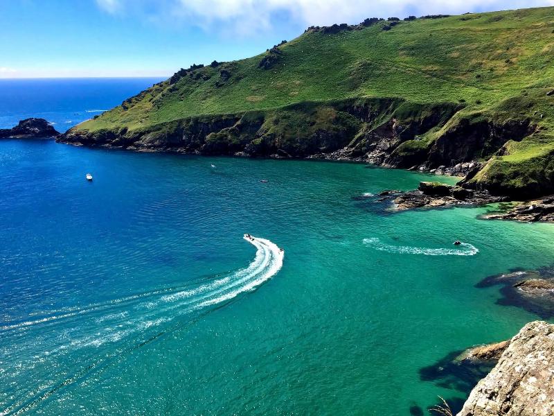 Salcombe Harbour Hotel - Aktivite