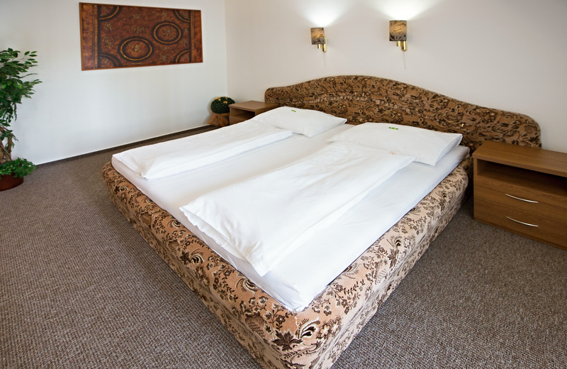 Radnice Hotel - Oda