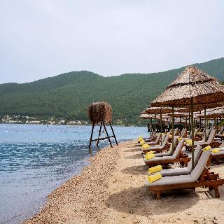 La Blanche Island fotoÄŸrafÄ±