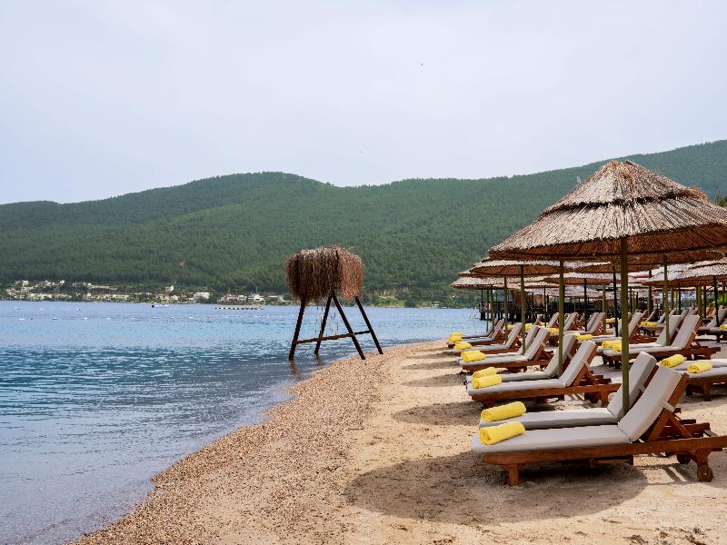 La Blanche Island - Plaj