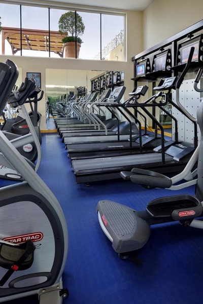 Marriott Executive Apartments Dubai Creek - Aktivite