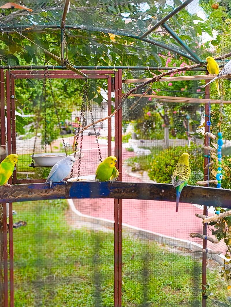 Erendiz Garden Hotel - Genel