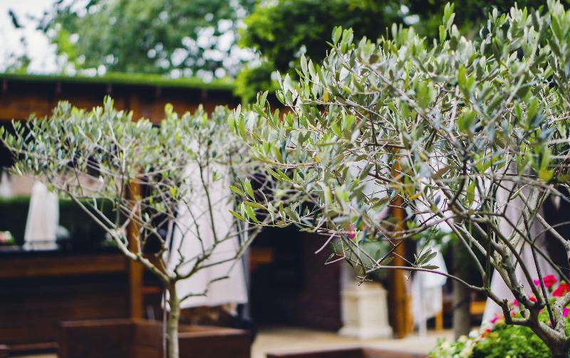 Hilton London Syon Park - Toplantı