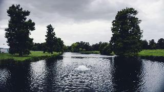 Hilton London Syon Park fotoÄŸrafÄ±