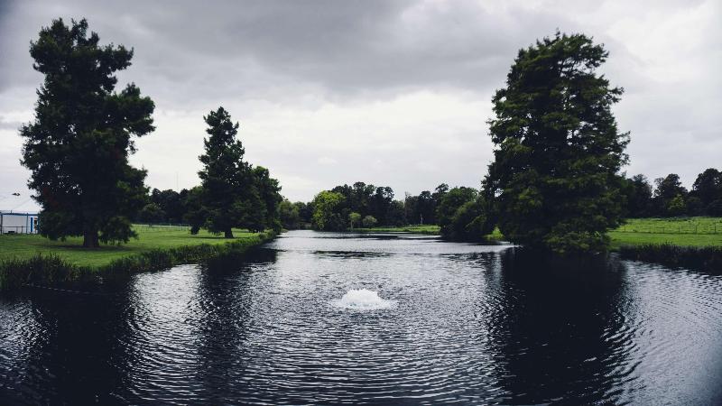 Hilton London Syon Park - Genel