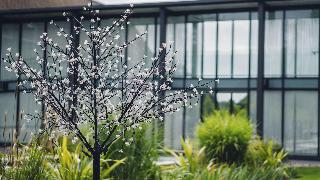 Hilton London Syon Park fotoÄŸrafÄ±