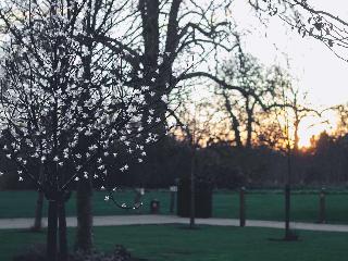 Hilton London Syon Park fotoÄŸrafÄ±