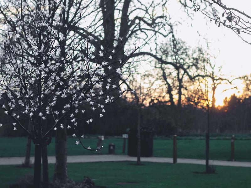 Hilton London Syon Park - Genel