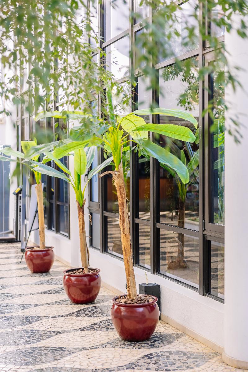 Muthu Oura Praia Hotel - Lobi