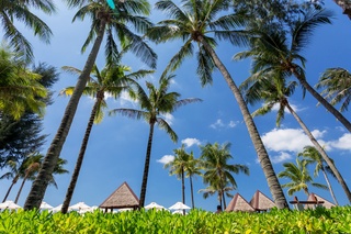Angsana Laguna Phuket fotoÄŸrafÄ±