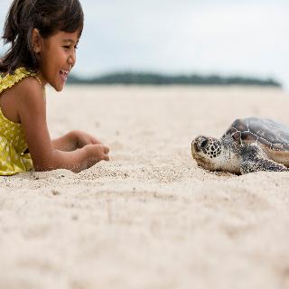 Angsana Laguna Phuket fotoÄŸrafÄ±