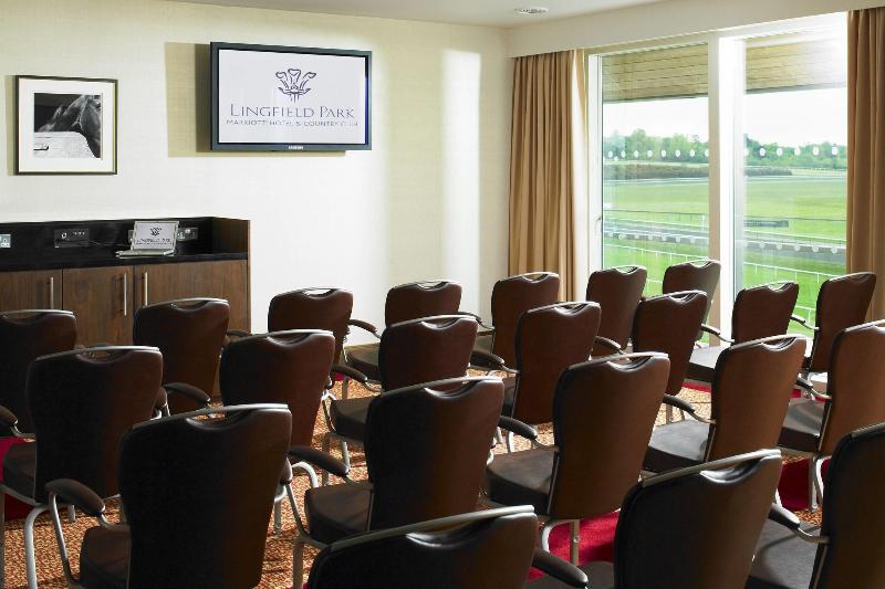 Lingfield Park Marriott Hotel & Country Club - Toplantı