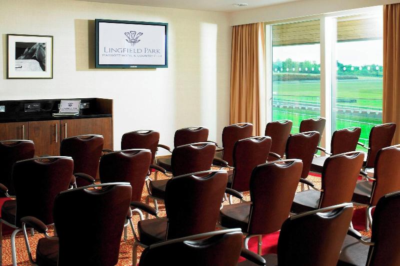 Lingfield Park Marriott Hotel & Country Club - Toplantı