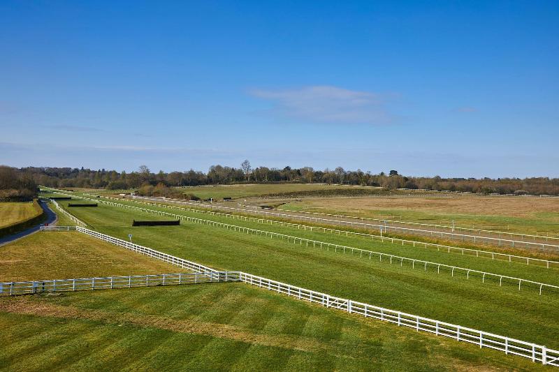 Lingfield Park Marriott Hotel & Country Club - Oda
