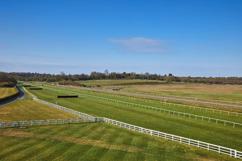 Lingfield Park Marriott Hotel & Country Club - Oda
