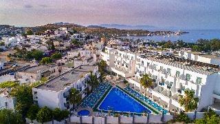 Club Hotel Shark fotoÄŸrafÄ±
