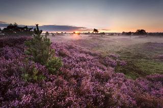 Hotel Veluwe De Beyaerd fotoÄŸrafÄ±