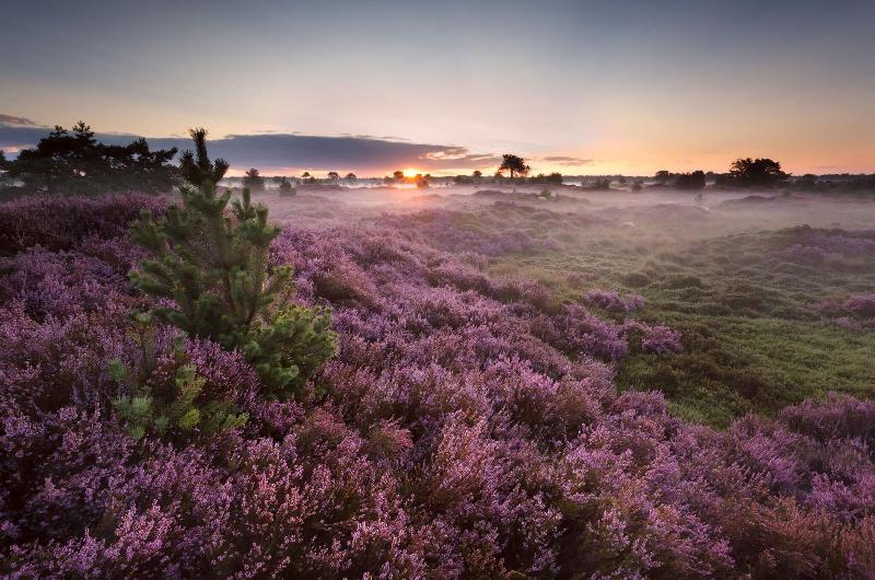 Hotel Veluwe De Beyaerd - Aktivite