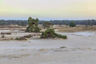 Hotel Veluwe De Beyaerd fotoÄŸrafÄ±