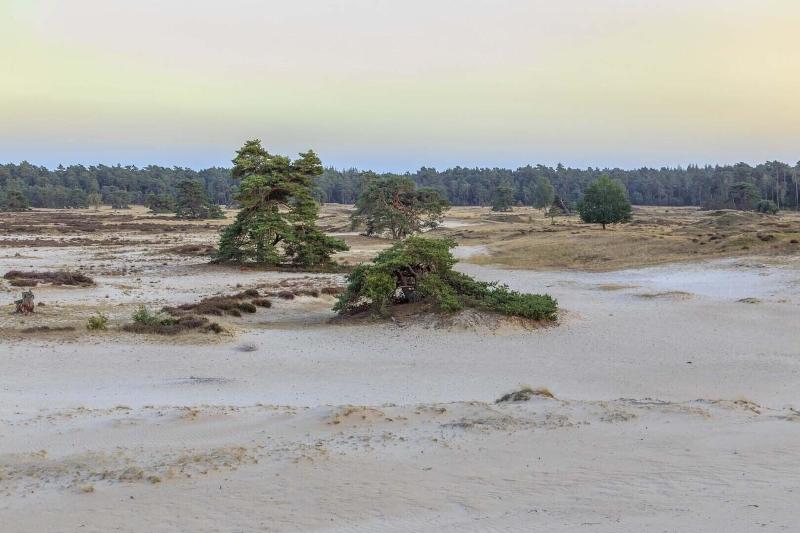 Hotel Veluwe De Beyaerd - Aktivite