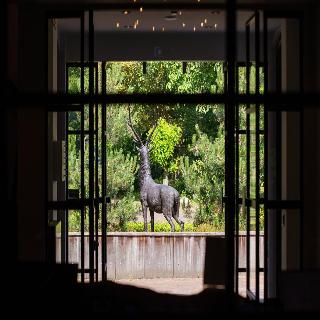 Hotel Veluwe De Beyaerd fotoÄŸrafÄ±