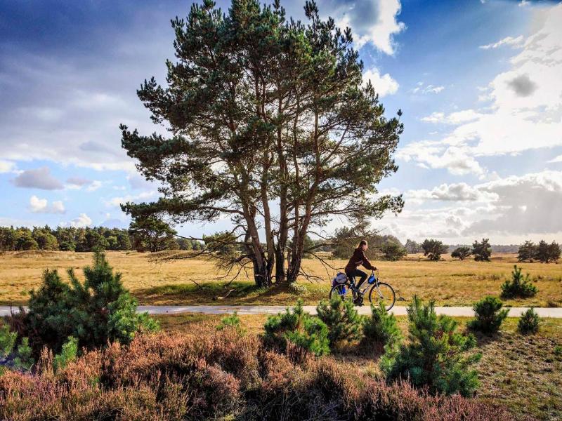 Hotel Veluwe De Beyaerd - Genel