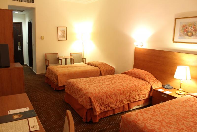 Al Fanar Palace Hotel - Genel