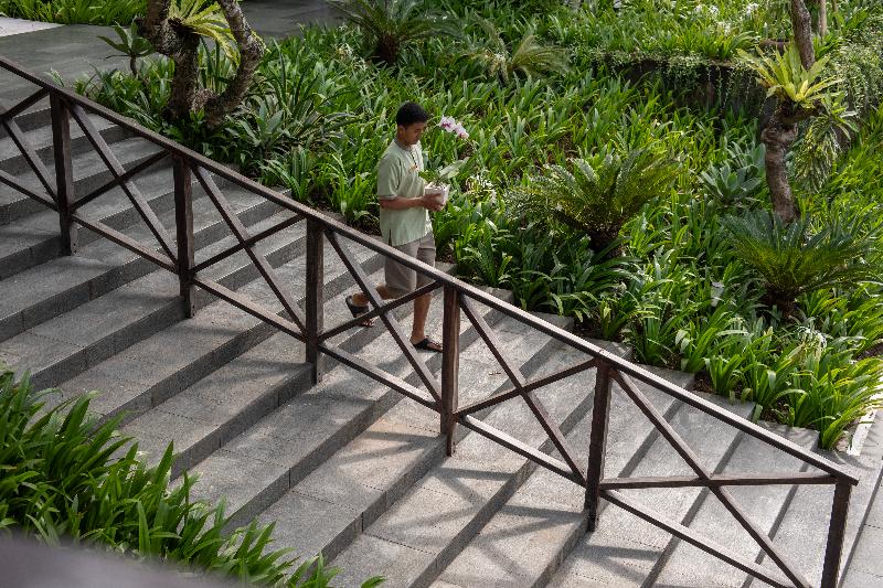 Dialoog Seminyak - Genel