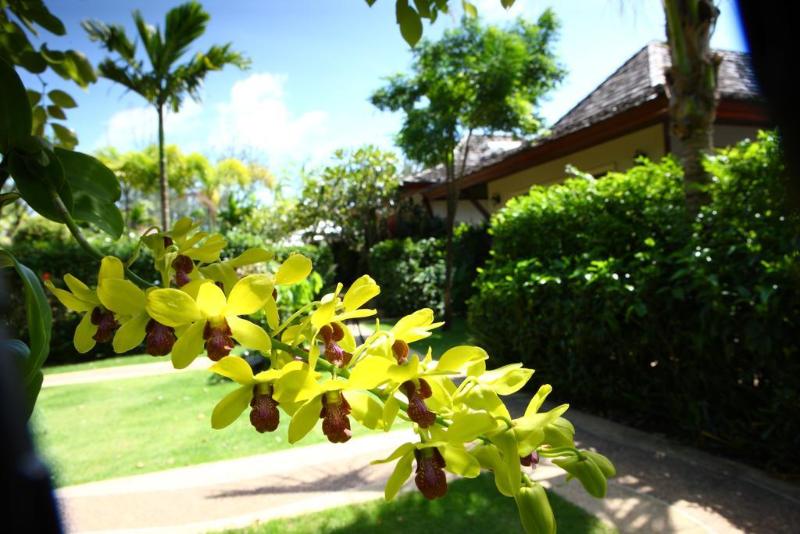 Paitan Villas - Genel