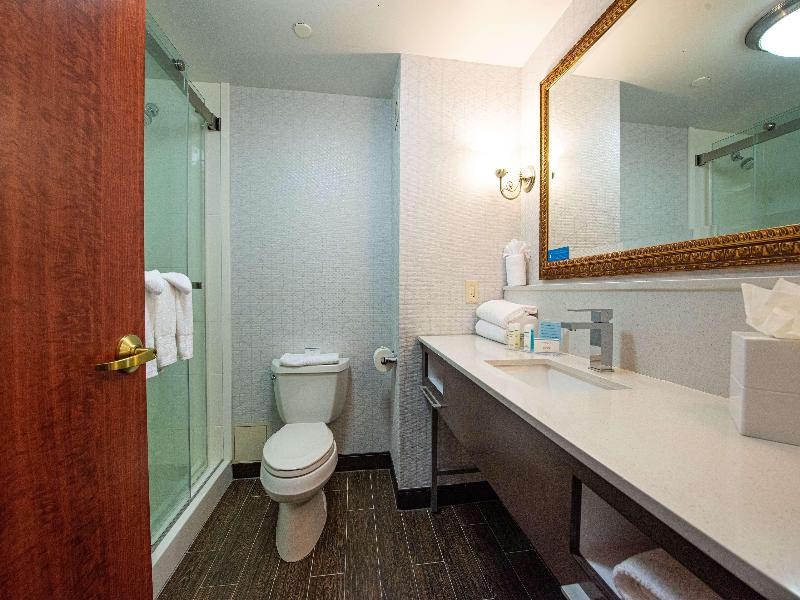Hampton Inn & Suites Rockville Centre - Oda