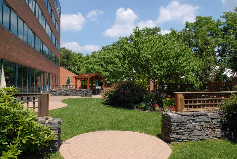 Hilton Long Island/Huntington - Teras