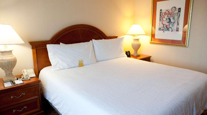 Hilton Garden Inn Secaucus Meadowlands - Oda