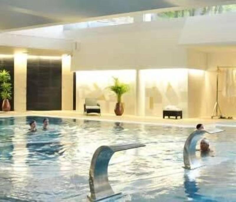Palace Hotel & Spa Termas de São Vicente - Havuz