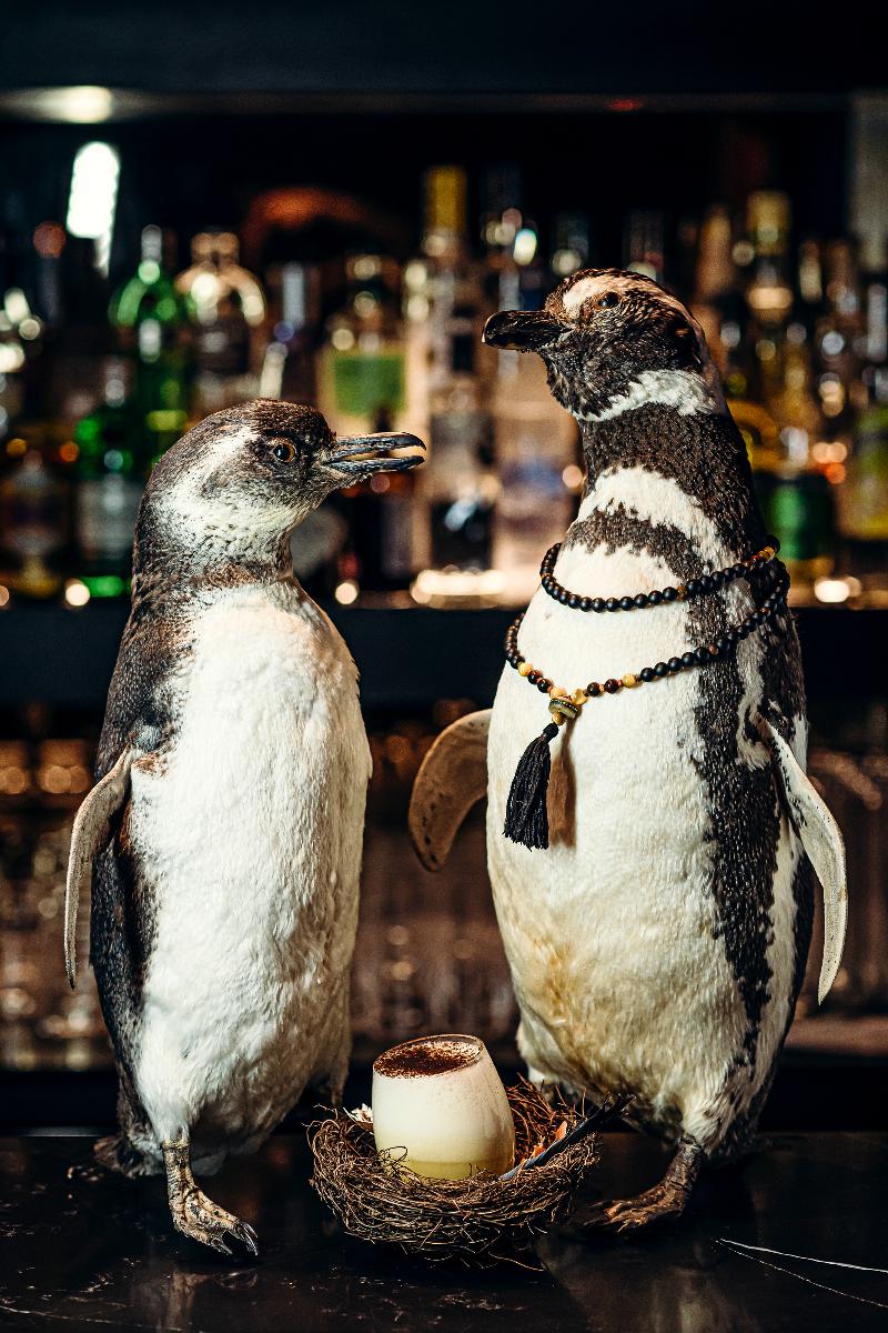 The Hux Hotel - Bar