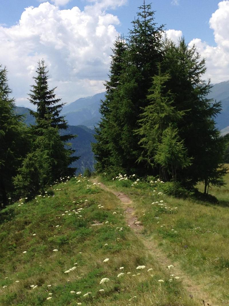 Adige-Radweg - Hotel Erika - Genel
