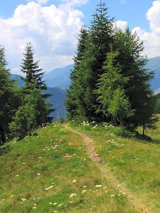 Adige-Radweg - Hotel Erika fotoÄŸrafÄ±