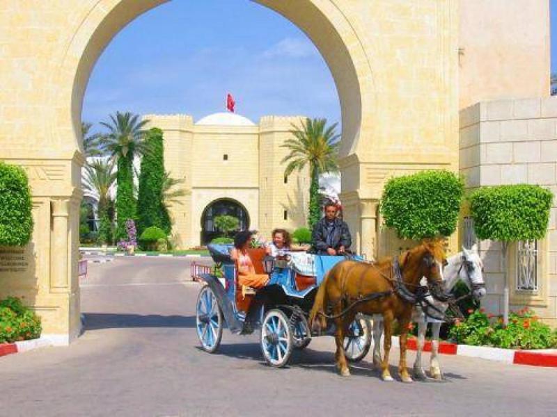 Mahdia Palace Thalasso - Genel