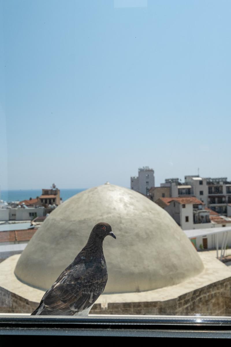 Livadhiotis City Hotel - Genel